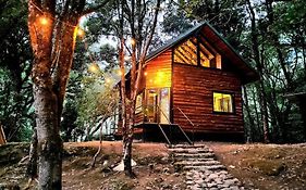 Unicorn Lodge: Direct Riverfront : Unique Experience