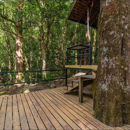 Unicorn Lodge: Direct Riverfront : Unique Experience San Gerardo de Dota Extérieur photo