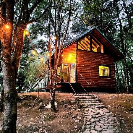 Unicorn Lodge: Direct Riverfront : Unique Experience San Gerardo de Dota Extérieur photo
