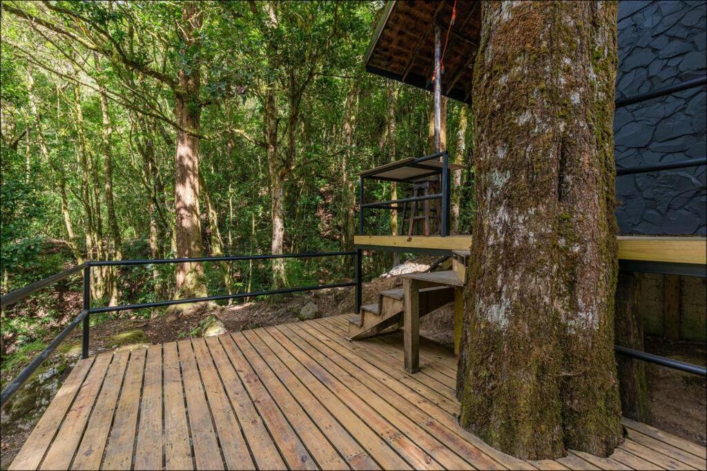 Unicorn Lodge: Direct Riverfront : Unique Experience San Gerardo de Dota Extérieur photo