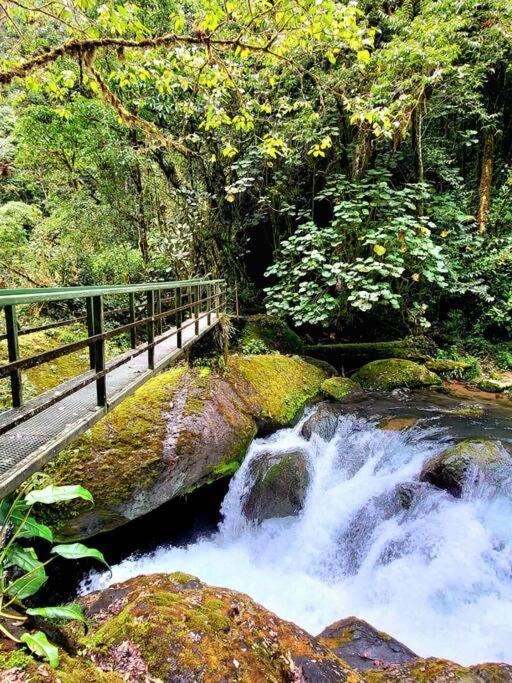 Unicorn Lodge: Direct Riverfront : Unique Experience San Gerardo de Dota Extérieur photo