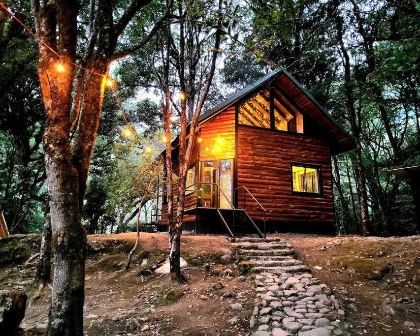Unicorn Lodge: Direct Riverfront : Unique Experience San Gerardo de Dota Extérieur photo