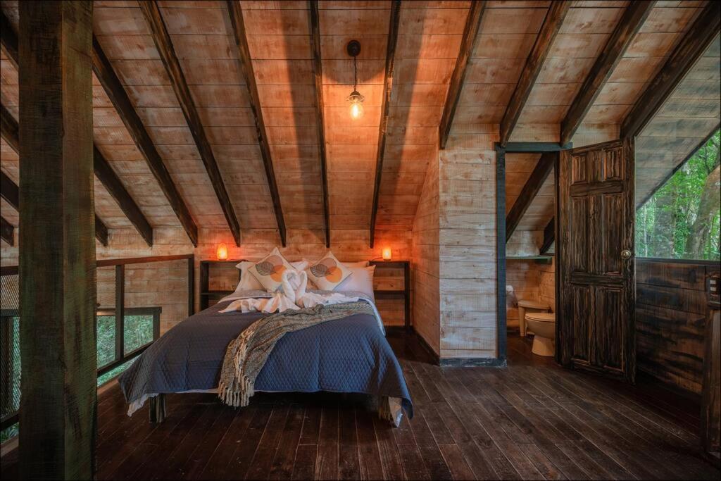 Unicorn Lodge: Direct Riverfront : Unique Experience San Gerardo de Dota Extérieur photo