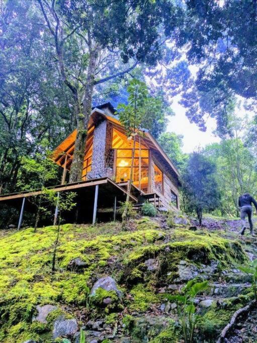 Unicorn Lodge: Direct Riverfront : Unique Experience San Gerardo de Dota Extérieur photo