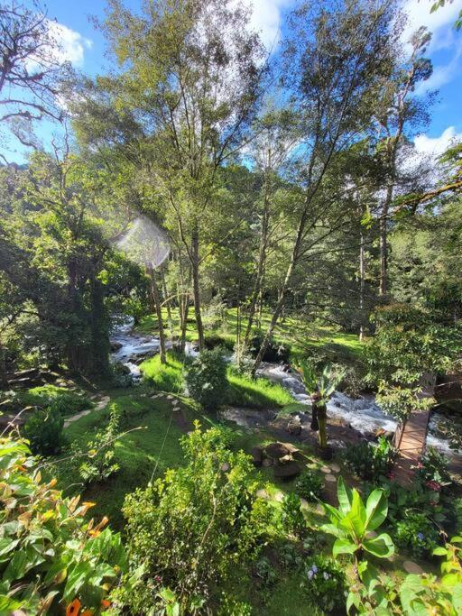 Unicorn Lodge: Direct Riverfront : Unique Experience San Gerardo de Dota Extérieur photo