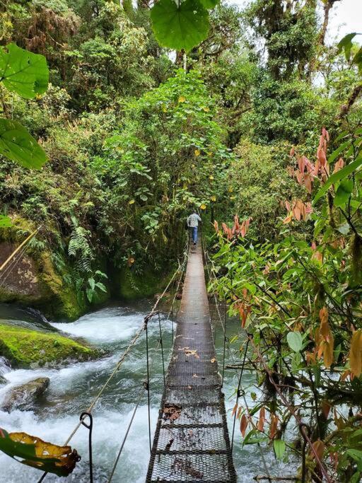 Unicorn Lodge: Direct Riverfront : Unique Experience San Gerardo de Dota Extérieur photo