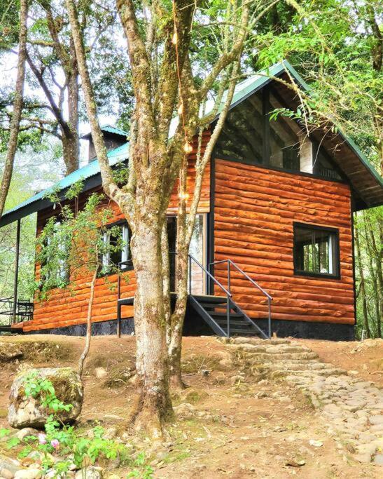 Unicorn Lodge: Direct Riverfront : Unique Experience San Gerardo de Dota Extérieur photo