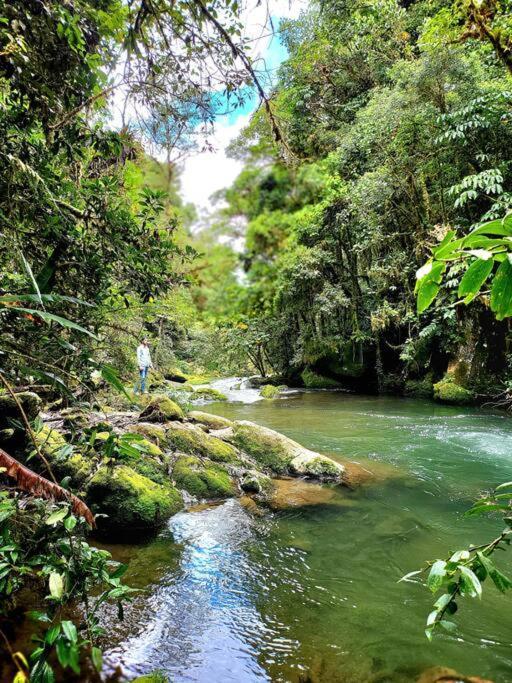 Unicorn Lodge: Direct Riverfront : Unique Experience San Gerardo de Dota Extérieur photo