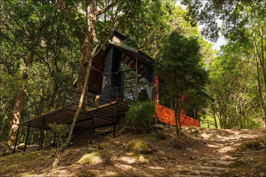 Unicorn Lodge: Direct Riverfront : Unique Experience San Gerardo de Dota Extérieur photo