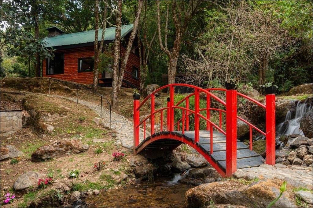 Unicorn Lodge: Direct Riverfront : Unique Experience San Gerardo de Dota Extérieur photo